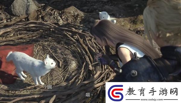 最終幻想7重生白毛天使攻略