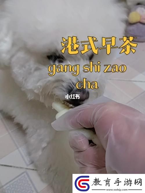 探索“美國(guó)人與動(dòng)物膠配方大全”的奧秘與應(yīng)用柯林