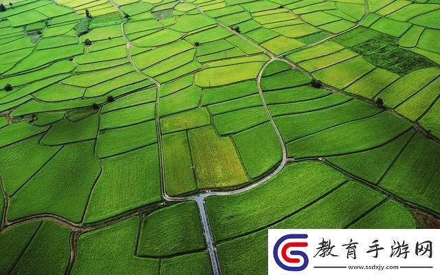 嫩草國產(chǎn)從青年農(nóng)民的角度審視農(nóng)業(yè)現(xiàn)狀及未來走向