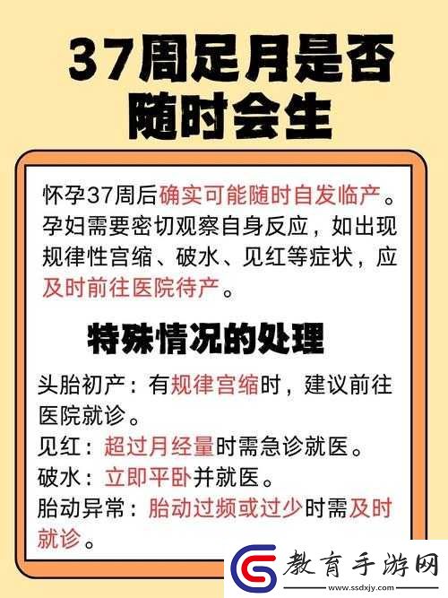 今晚一直到懷孕為止