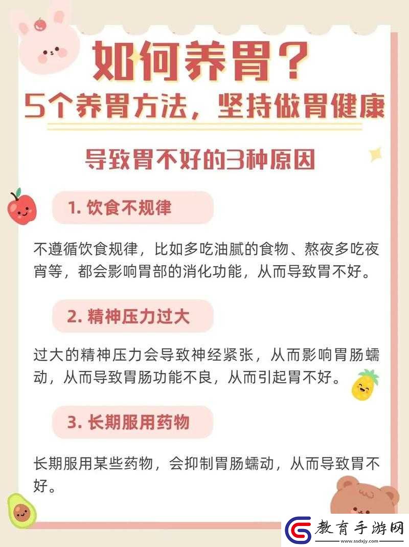 解析我養胃了這一表述背后的含義與目的介紹