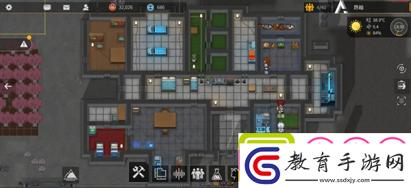 秩序