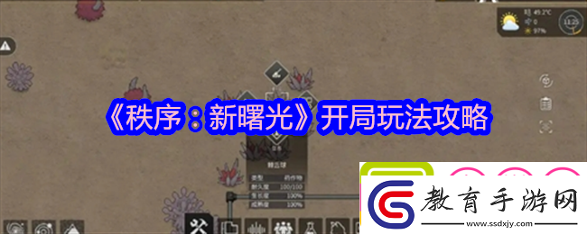 秩序