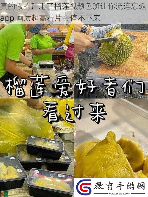 真的假的