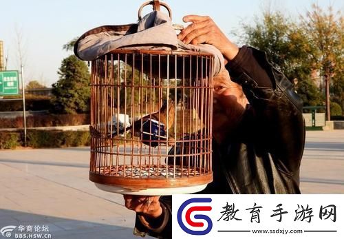 “八旬翁養(yǎng)鳥