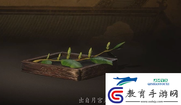 黑神話悟空梭羅瓊芽怎么獲得