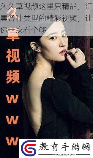 久久草視頻這里只精品