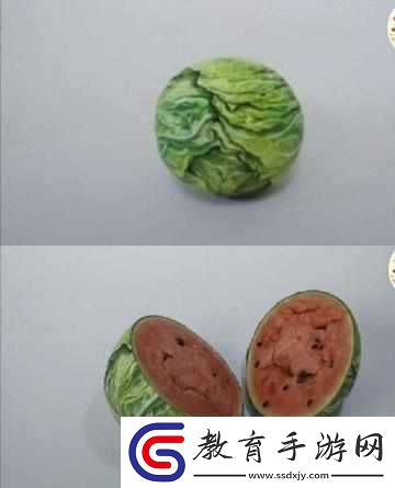香蕉草莓黃瓜絲瓜還有番茄