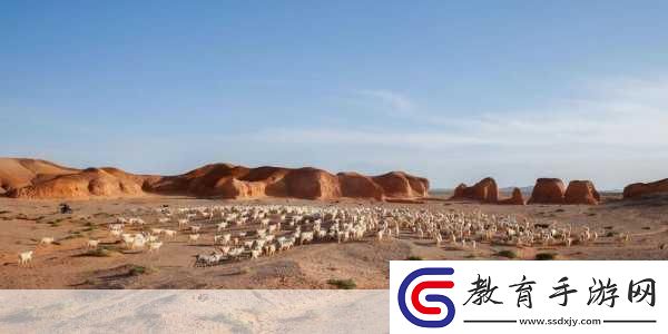 探索阿拉善沙漠