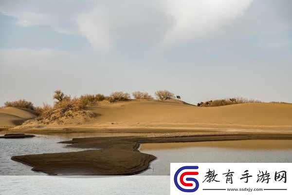探索阿拉善沙漠