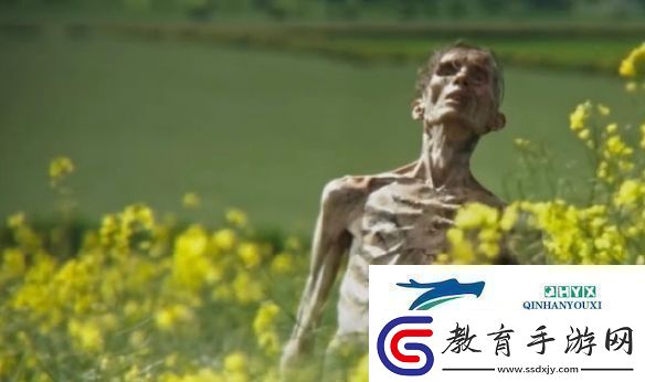 知名恐怖片驚變28年續(xù)集定名定檔2026年上映！