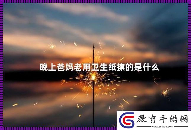 父母夜用紙巾