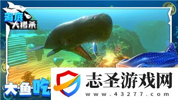 僵尸毀滅工程繩梯的樣式與功能解析