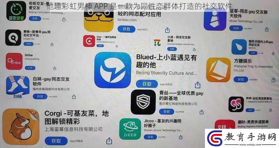 他趣彩虹男神