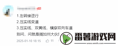 陳震測試特斯拉FSD