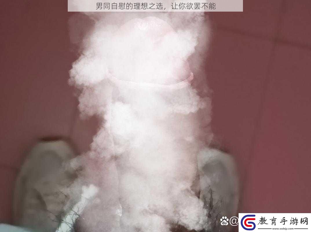 男同**的理想之選