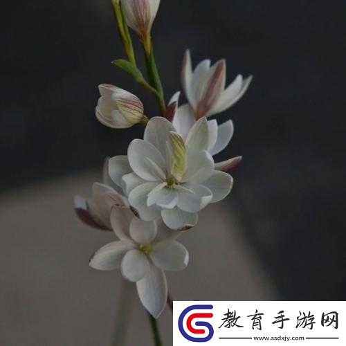 女子半夜蓮花開是否剛做過之種種猜測