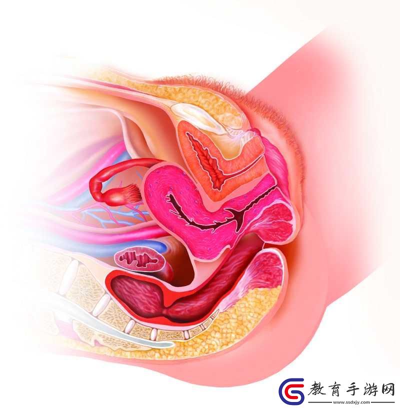 女性**高清特寫