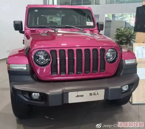 桃紅色jeep界人口的功能介紹