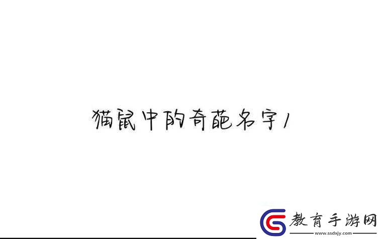 貓咪