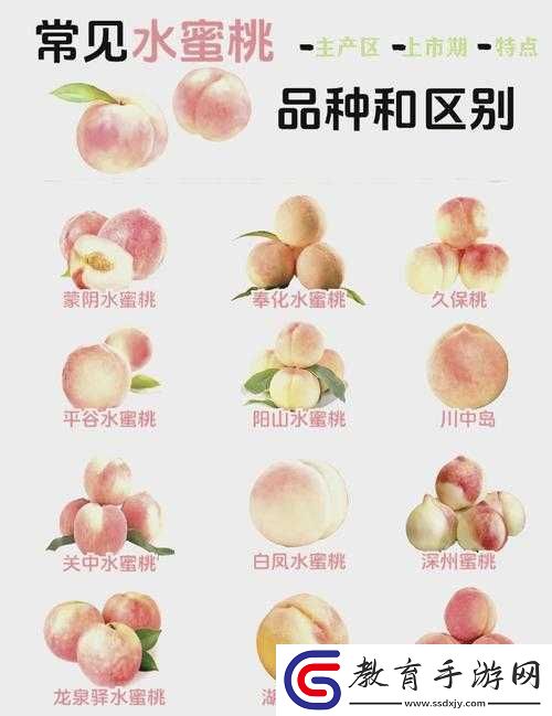 水蜜桃一品二品的獨(dú)特魅力與非凡品鑒