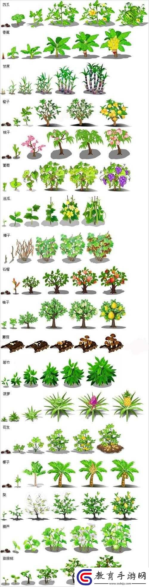 QQ農場成就作物全解析