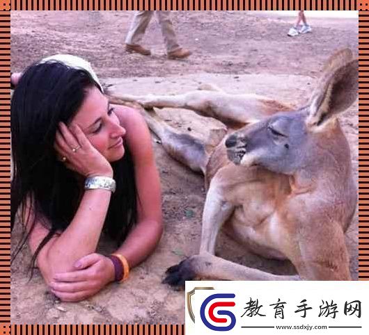 “奇趣互動！高清時代的人物與動物‘吵架’日常