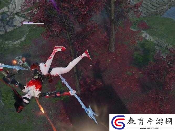 永劫無間寧紅夜果體