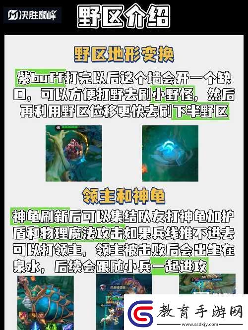 決勝巔峰新玩家打野教學攻略