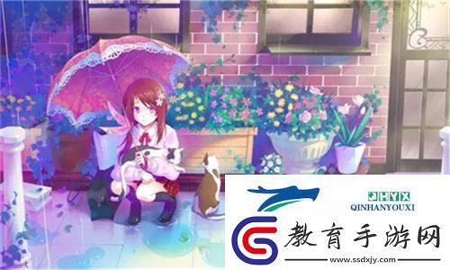 國產????一對一視頻聊天應用
