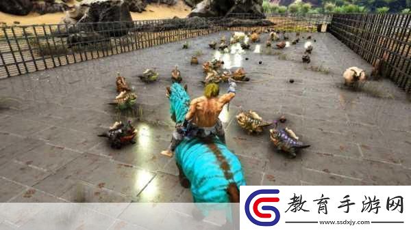 神雕俠侶手游