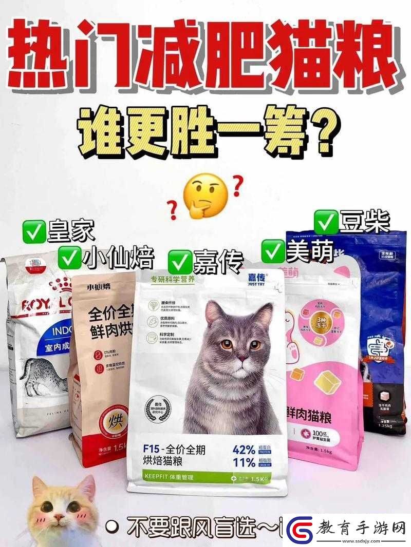 貓咪后院