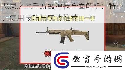 惡果之地手游霰彈槍全面解析