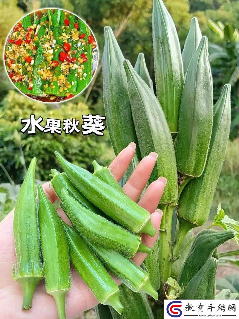 水果與蔬菜的奇妙搭配