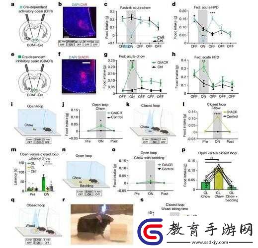 節之交未增減