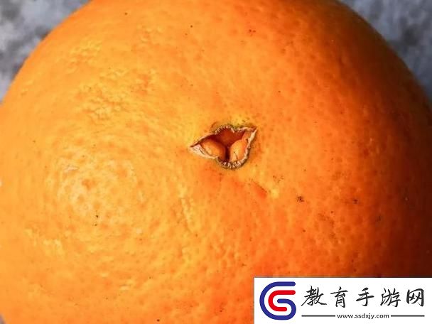 “橙子鉆孔