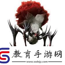 怪物獵人荒野刺花蜘蛛如何組建最佳蜘蛛獵人陣容