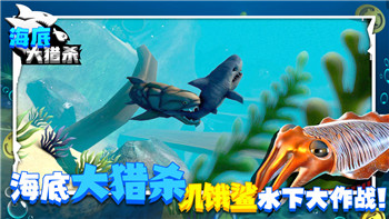 黎明覺醒附加屬性是什么意思