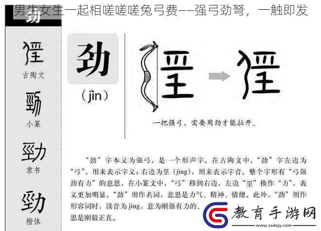 男生女生一起相嗟嗟嗟兔弓費——強弓勁弩