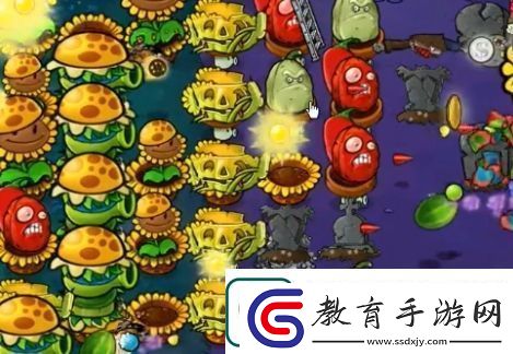 植物大戰僵尸雜交版冒險模式58過關詳解