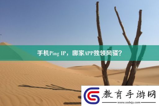 手機Ping