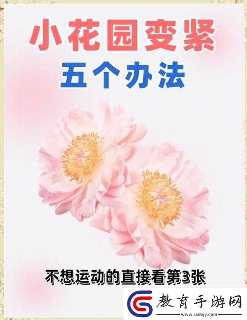 如何緊致小花園的實用方法與技巧探討