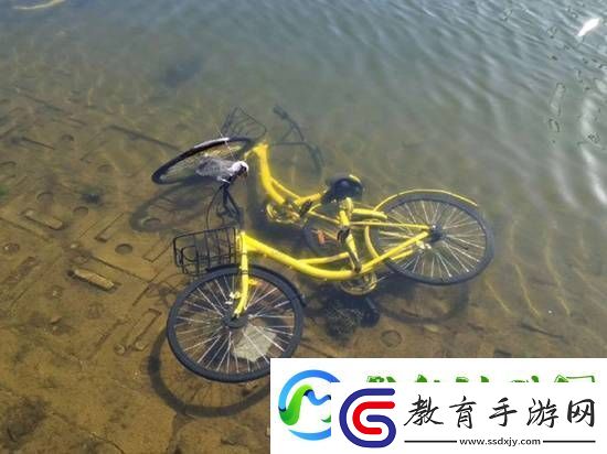 共享單車被丟河里每月可撈數百輛