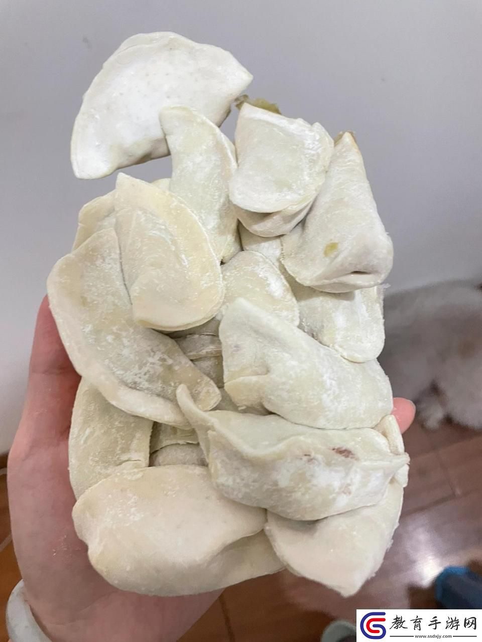 科技界的“廚神”挑戰