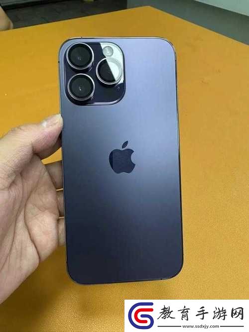 日本iPhoneProMax70
