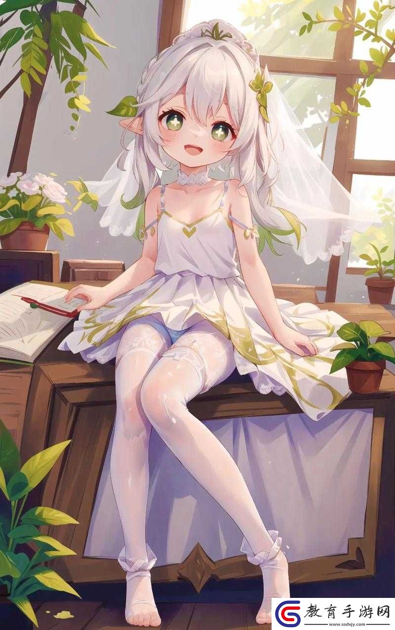 納西妲無小內無愛心納西