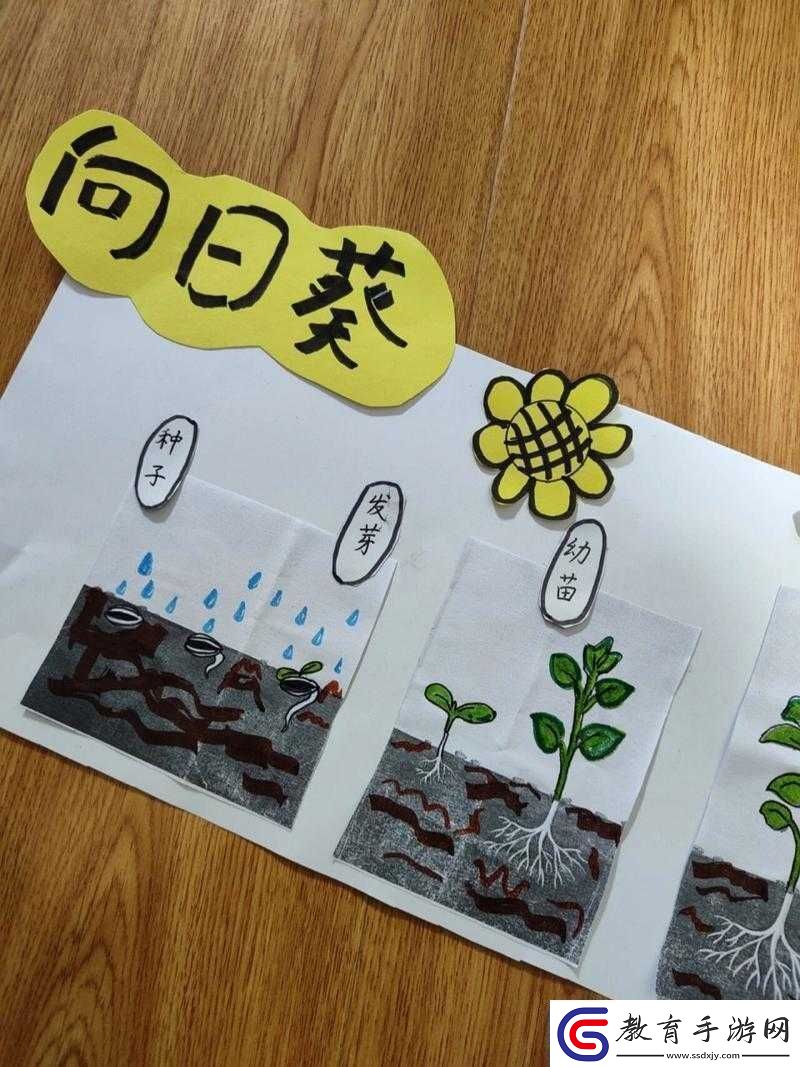 坐在根莖寫作業好嗎