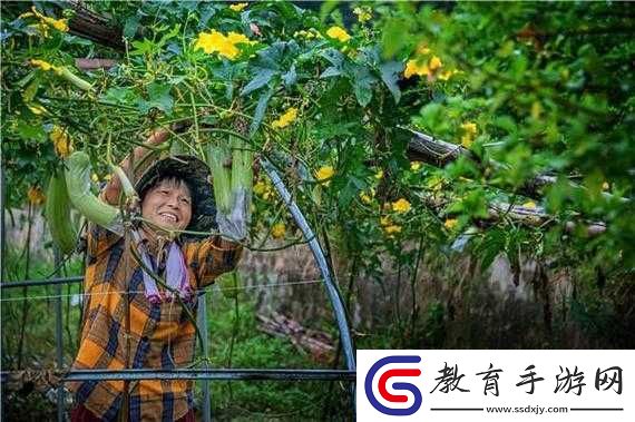 國產絲瓜視頻在線