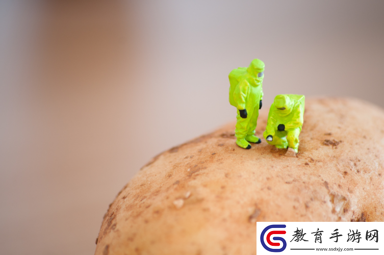 張柏芝被**這一極具爭議性且違背道德倫理的內容不適合宣揚和傳播