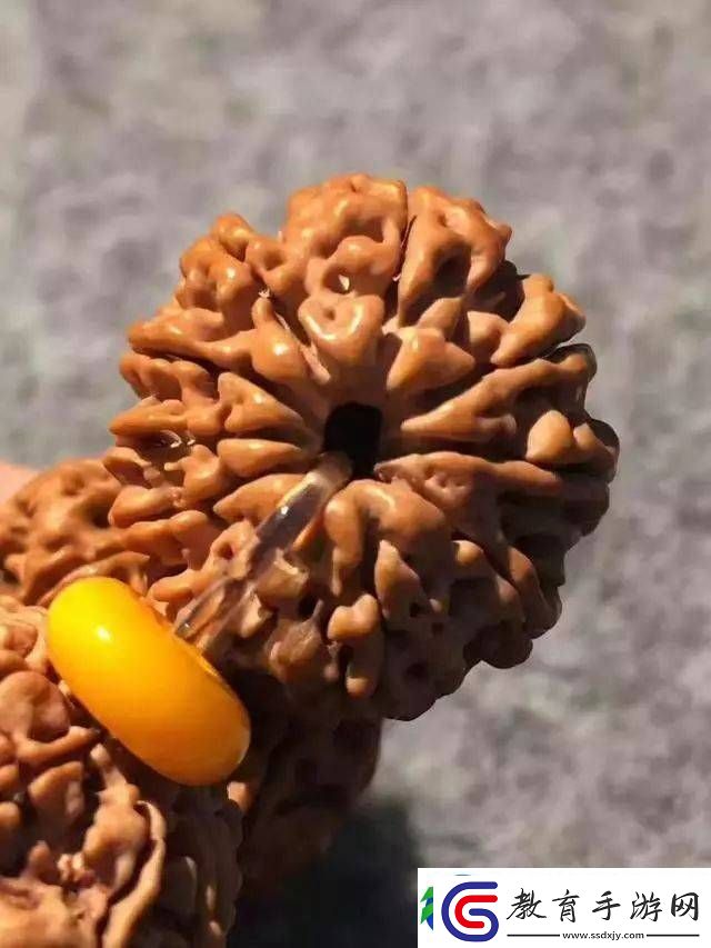 辨別金剛菩提真假